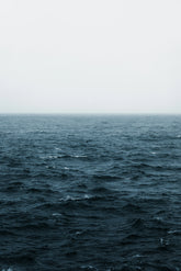 Cobalt 50 ml Whiskey and Leather Perfume Oil Dropper